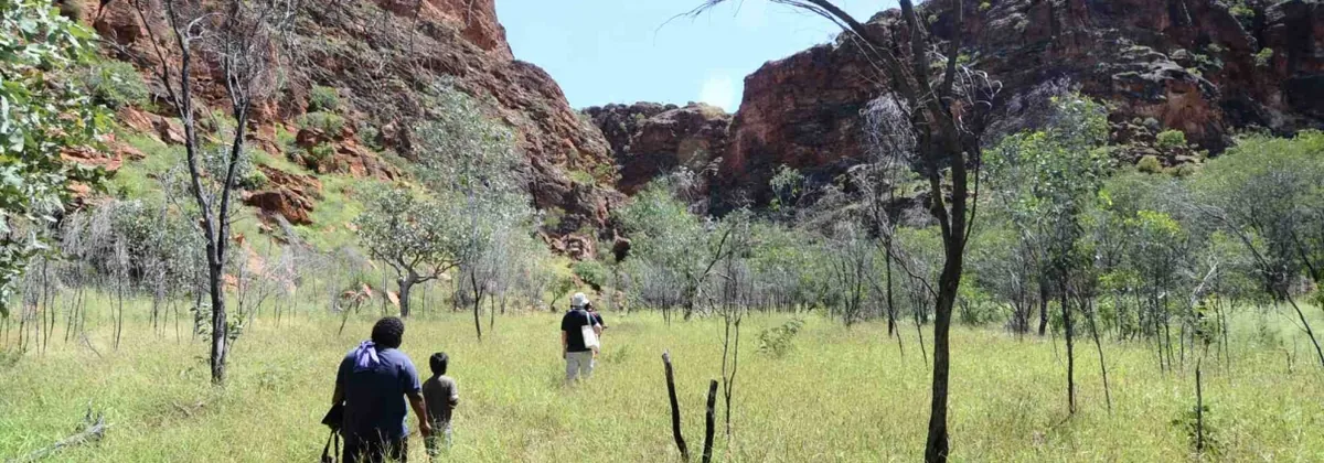 Walking on a tailored tour – Kimberley Dreamtime Adventure Tours