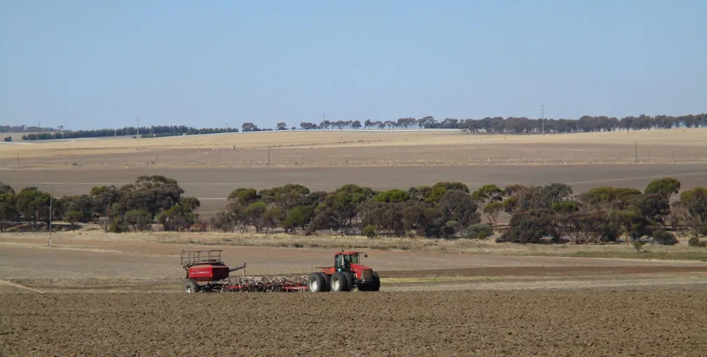Farm property in the WA wheatbelt – Urban & Rural Valuations